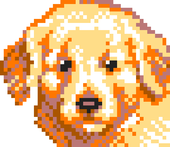 CrossMe Color 9 - 627 Solution