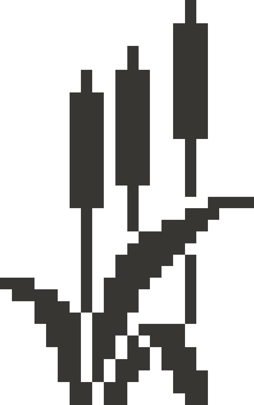 CrossMe 4 - 578 Solution